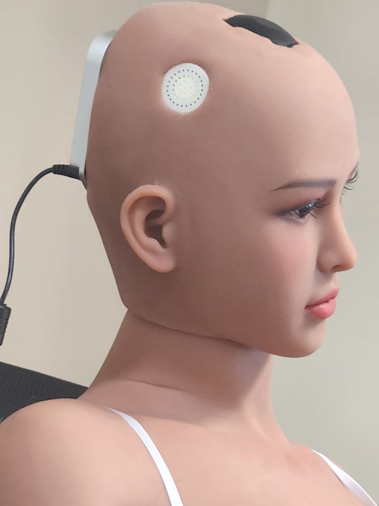 Our Robots – Beauty Meets Intelligence